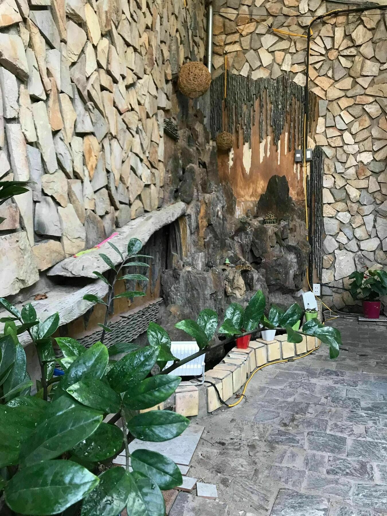 Win Win Hostel Da Nang Zewnętrze zdjęcie